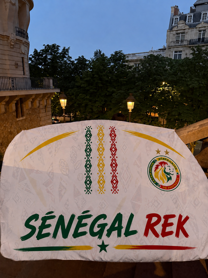 DRAPEAUX SUPPORTERS COUPE DU MONDE