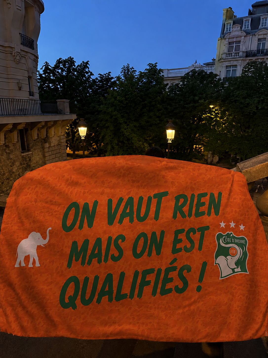DRAPEAUX SUPPORTERS COUPE DU MONDE